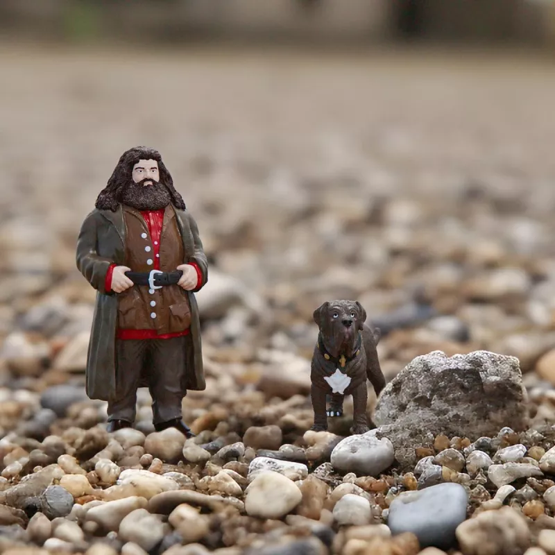 schleich Hagrid & Fang, 6 jaar, Harry Potter™, veelkleurig, kunststof