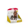 schleich Hagrid & Fang, 6 jaar, Harry Potter™, veelkleurig, kunststof