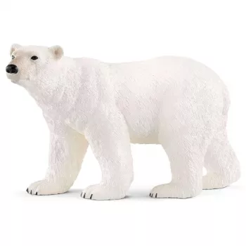 schleich WILD LIFE ijsbeer, 3 jaar, ijs & oceaan, wilde dieren / avontuurspeelgoed, veelkleurig, kunststof
