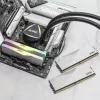 DIMM 64 GB DDR5-6400 (2x 32 GB) dual-kit, werkgeheugen wit, AX5U6400C3232G-DCLARWH, Lancer RGB, INTEL XMP