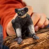 Figuur Schleich WILD LIFE Indri Meerkleurig 14877S Aanbevolen leeftijd 3 jaar