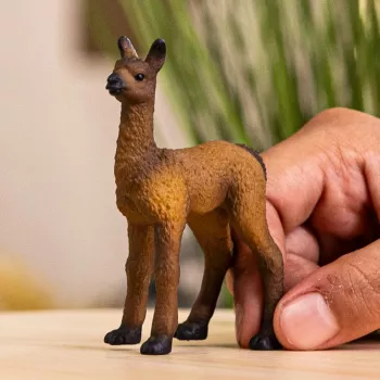 schleich FARM WORLD Lama-veulen, 3 jaar, Boerderij, Boerderijdieren / boerderijspeelgoed, Meerkleurig
