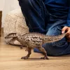 schleich dinosauriër Carcharodontosaurus, 4 jaar, de aarde veroveren, dinosauriërs en vulkaan, meerkleurig