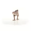 schleich dinosauriër Carcharodontosaurus, 4 jaar, de aarde veroveren, dinosauriërs en vulkaan, meerkleurig