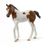 schleich HORSE CLUB Paint Horse veulen, 5 jaar, paarden, veelkleurig