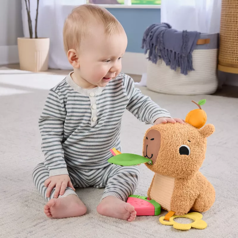 Speelgoedwaterschildpad Fisher-Price Snuggly Snacky Capy 0,5 jaar