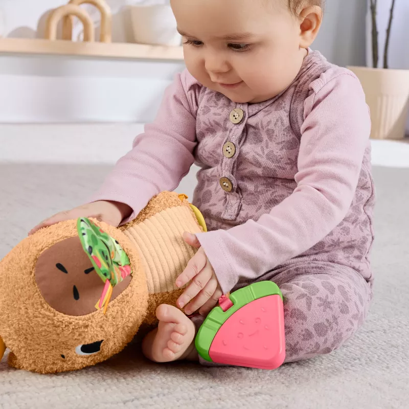 Speelgoedwaterschildpad Fisher-Price Snuggly Snacky Capy 0,5 jaar