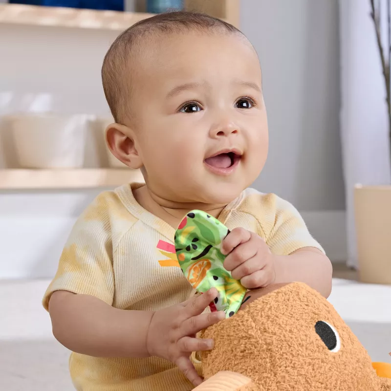 Speelgoedwaterschildpad Fisher-Price Snuggly Snacky Capy 0,5 jaar
