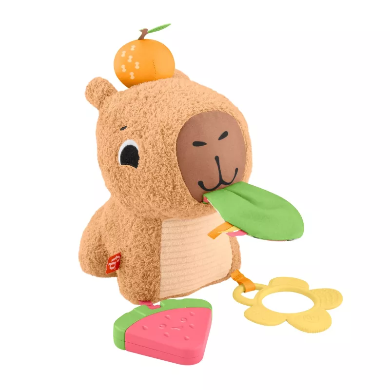 Speelgoedwaterschildpad Fisher-Price Snuggly Snacky Capy 0,5 jaar