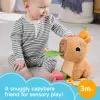 Speelgoedwaterschildpad Fisher-Price Snuggly Snacky Capy 0,5 jaar