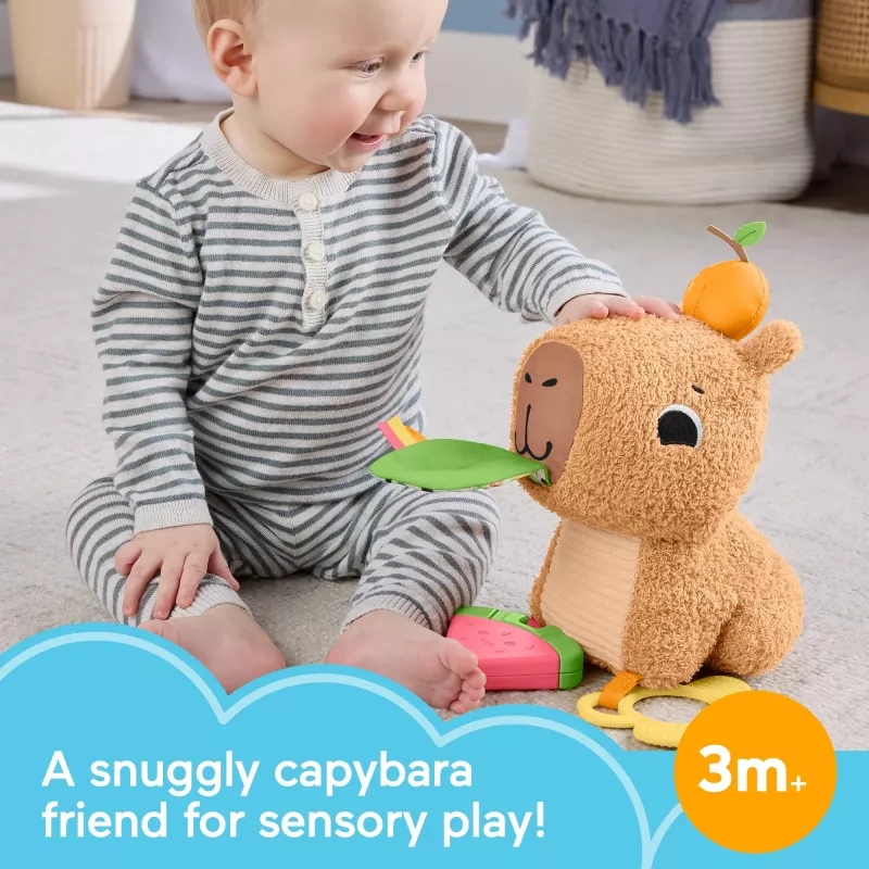 Speelgoedwaterschildpad Fisher-Price Snuggly Snacky Capy 0,5 jaar