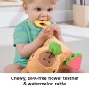 Speelgoedwaterschildpad Fisher-Price Snuggly Snacky Capy 0,5 jaar