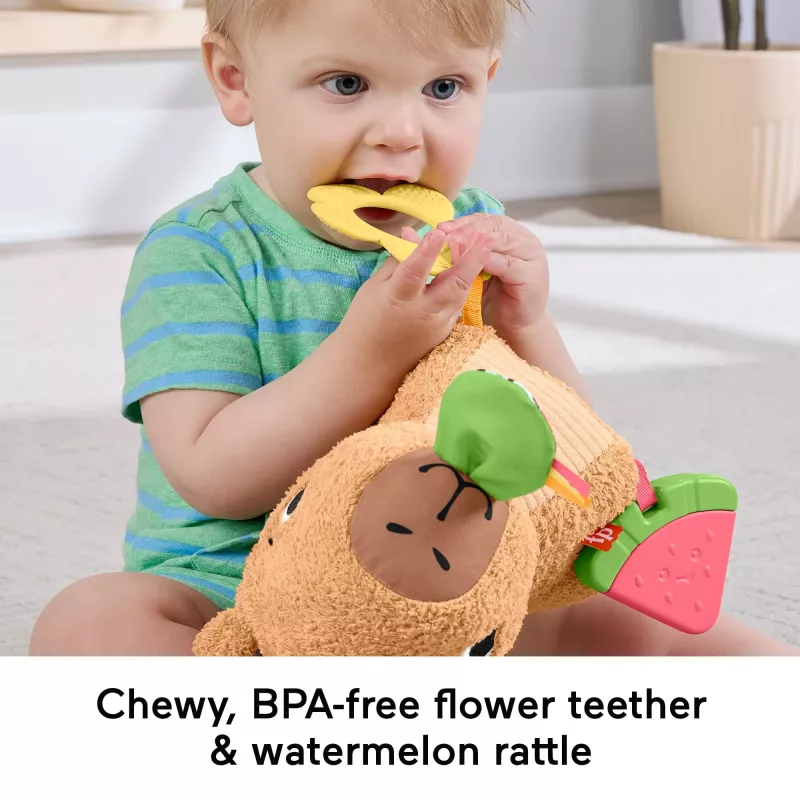 Speelgoedwaterschildpad Fisher-Price Snuggly Snacky Capy 0,5 jaar