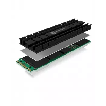 ICY BOX IB-M2HS-701 M.2 NVMe SSD koellichaam/koeler Zwart 1 st.