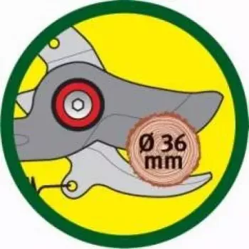 Takenschaar WOLF-Garten RR-VM