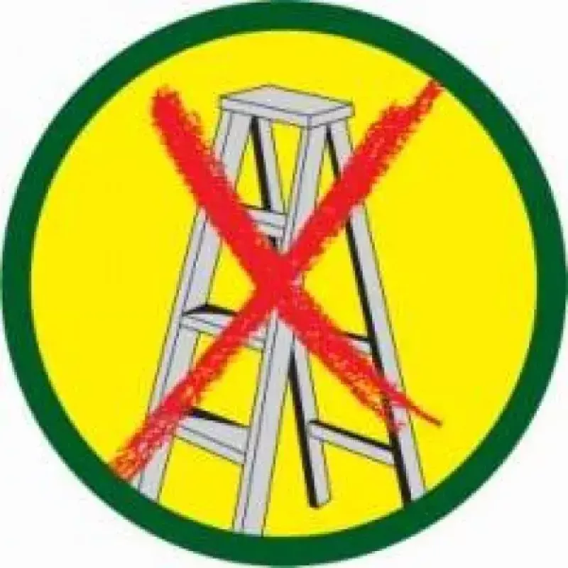 Takenschaar WOLF-Garten RR-VM