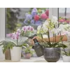 Pompvernevelaar Gardena 11114-20