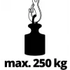 Draadkabeltakel Einhell TC-EH 250 500 W 12 m 125 kg
