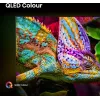 Hisense 85E77Q PRO 2,16 m (85") QLED 4K Ultra HD Smart TV, 144 Hz, wifi, drievoudige tuner, USB-opname, zwart