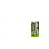 Bosch EasyGrassCut 18V-26 26 cm accu zwart, groen