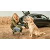 Bosch Fontus 18V hogedrukreiniger rechtop batterij