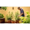 Bosch GardenPump18V-2000 (1x2,5Ah) 2000 l/u
