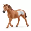 schleich Cowgirl Team Roping Fun, 3 jaar, veelkleurig