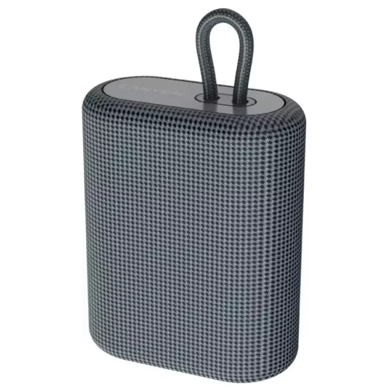 Draagbare stereo luidspreker Canyon BSP-4 grafiet