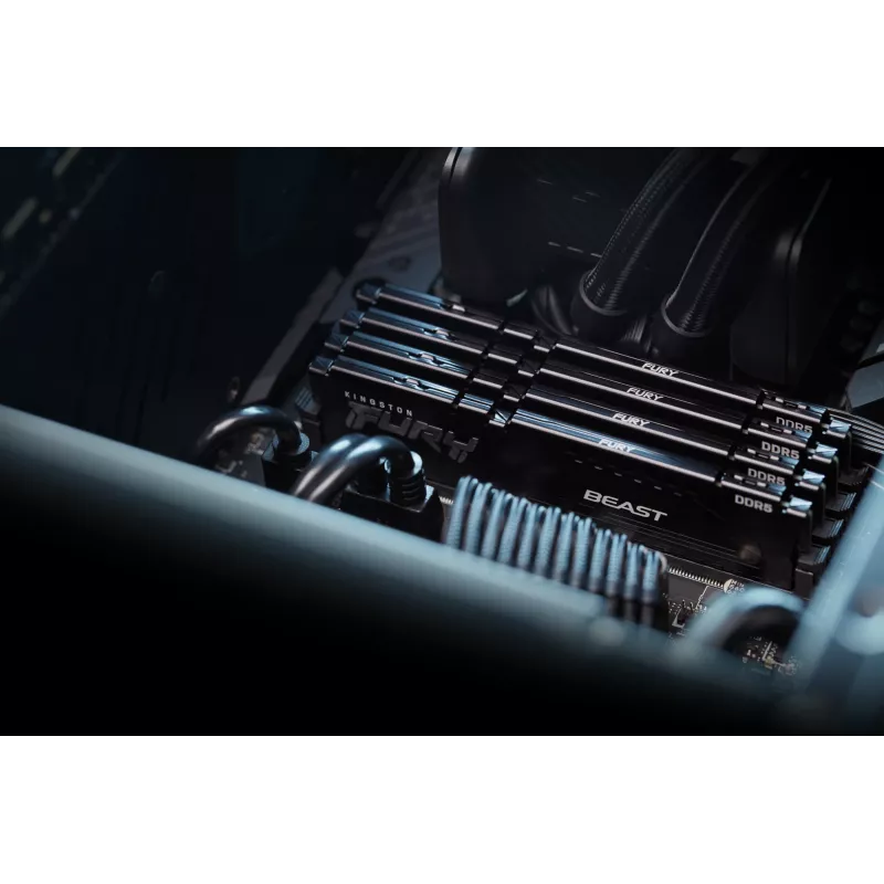 Kingston Technology FURY Beast 32GB 5600MT/s DDR5 CL36 DIMM zwart