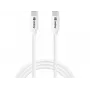 Sandberg USB-C USB-C 65W 1M SAVER, 1 m, USB-C, USB-C, USB 2.0, wit