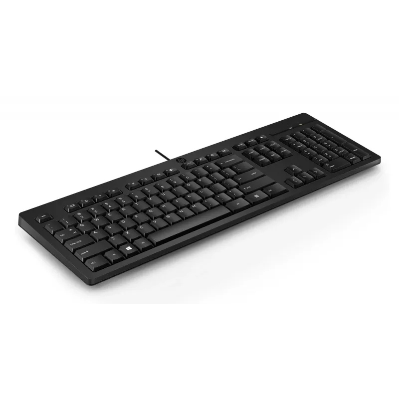 Toetsenbord HP 125 USB WD KBD Bulk 12 Full-size bedraad QWERTY