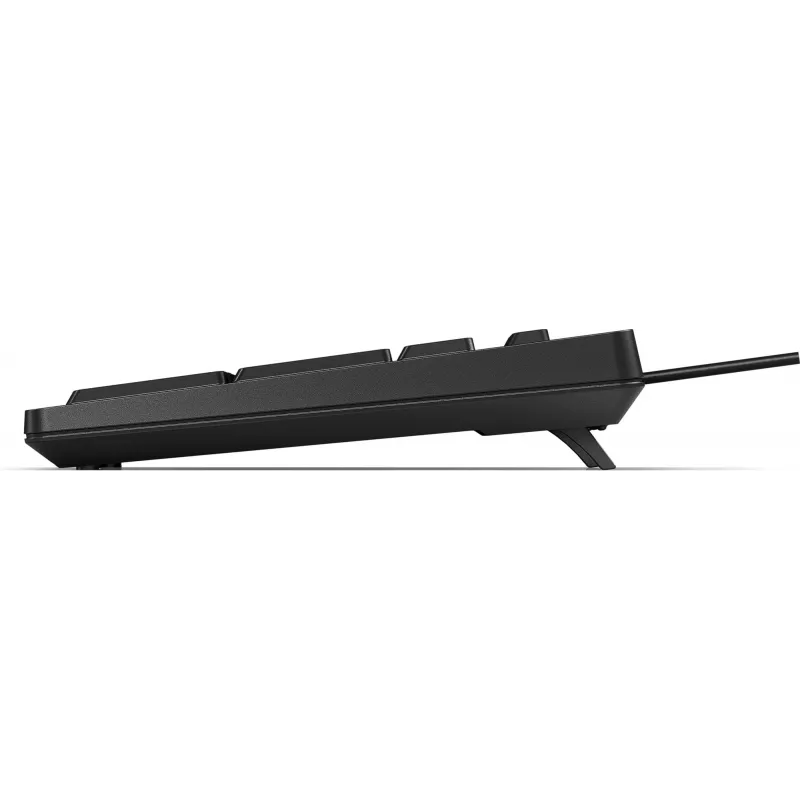 Toetsenbord HP 125 USB WD KBD Bulk 12 Full-size bedraad QWERTY