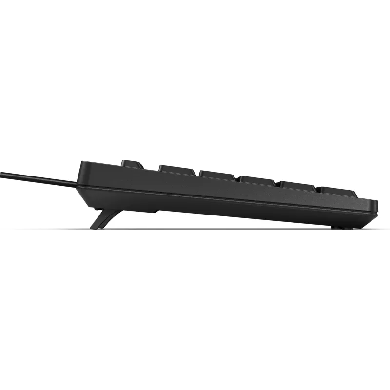 Toetsenbord HP 125 USB WD KBD Bulk 12 Full-size bedraad QWERTY