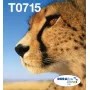 Epson multipack 4 kleuren T071 EasyMail, standaardcapaciteit, zwart, cyaan, magenta, geel, 7,4 ml, 5,5 ml, 1 stuk, multipack