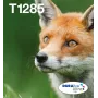 Inktjet-multipack inktpatronen Epson Fox T128 EasyMail — 4 kleuren (zwart 5,9 ml; cyaan/magenta/geel 3,5 ml)