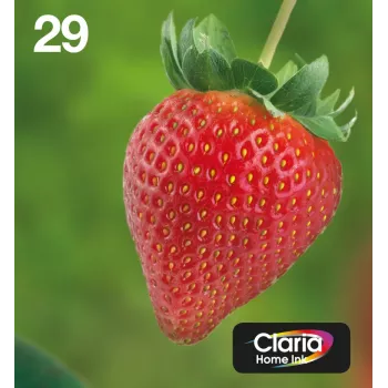 Epson Strawberry multipack 4 kleuren 29 EasyMail, standaardcapaciteit, zwart, cyaan, magenta, geel, 5,3 ml, 3,2 ml, 1 stuk, multiverpakking