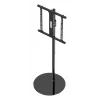 Gembird TVS-65S-02 draaibare tv-vloerstandaard, 32-65 inch, 35 kg, zwart