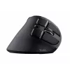 Trust Voxx muis kantoor rechtshandig RF draadloos + Bluetooth optisch 2400 DPI
