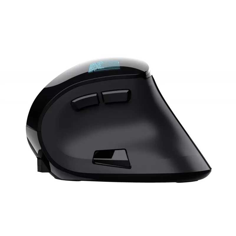 Trust Voxx muis kantoor rechtshandig RF draadloos + Bluetooth optisch 2400 DPI