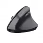 Trust TM-270 muis kantoor rechtshandig RF draadloos optisch 2400 DPI