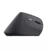 Trust TM-270 muis kantoor rechtshandig RF draadloos optisch 2400 DPI