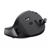 Trust TM-270 muis kantoor rechtshandig RF draadloos optisch 2400 DPI