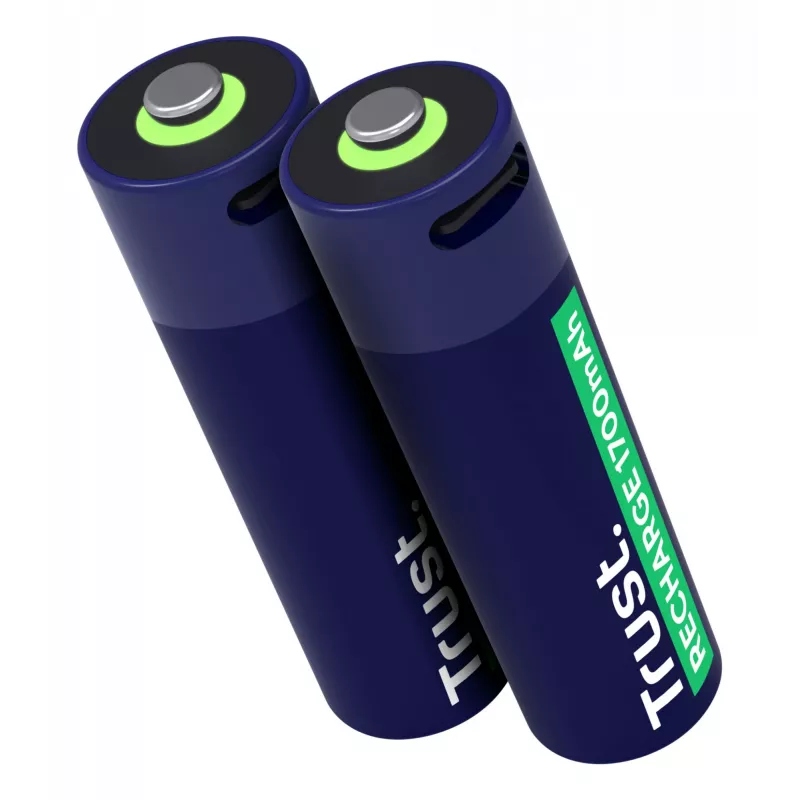 Trust 25584 huishoudbatterij oplaadbare batterij AA