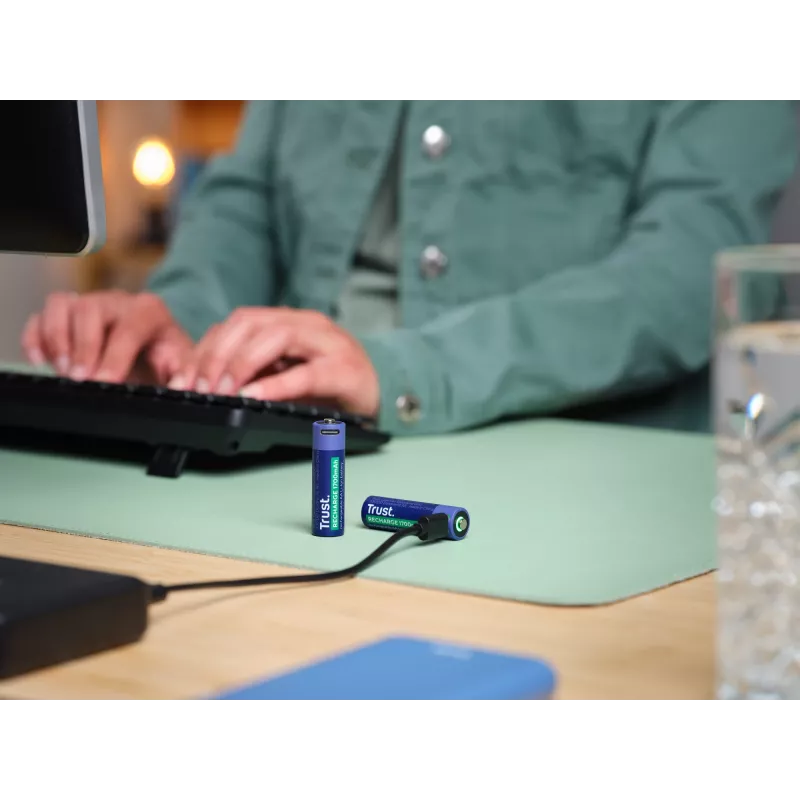 Trust 25584 huishoudbatterij oplaadbare batterij AA