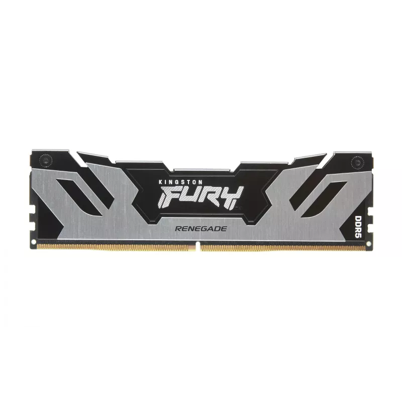 Kingston Technology FURY 16GB 6400MT/s DDR5 CL32 DIMM Renegade zilver