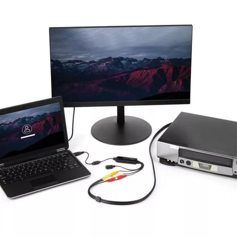 StarTech.com USB video-opname-adapterkabel – S-Video/Composite naar USB 2.0 SD video-opnameapparaat-kabel – TWAIN-ondersteuning – analoog-digitaal-omzetter voor mediaopslag – alleen Windows