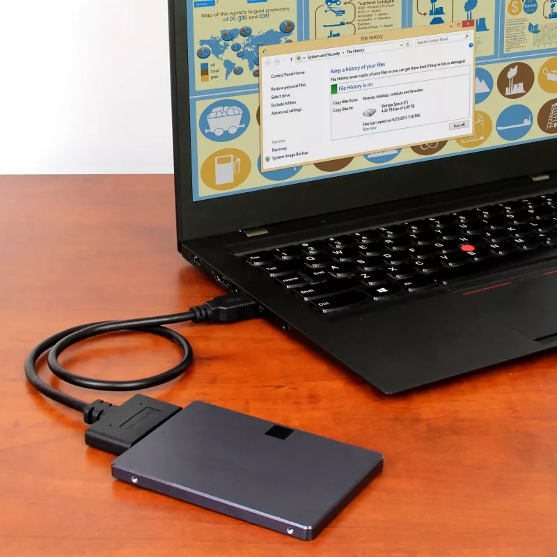 StarTech.com USB 3.1 naar 2,5 inch SATA harde schijf-adapter – USB 3.1 Gen 2 10 Gbit/s met UASP externe HDD/SSD opslagconverter