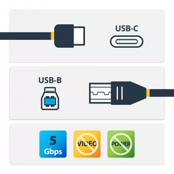 StarTech.com USB-C-naar-USB-B-kabel - M/M - 2 m - USB 3.0