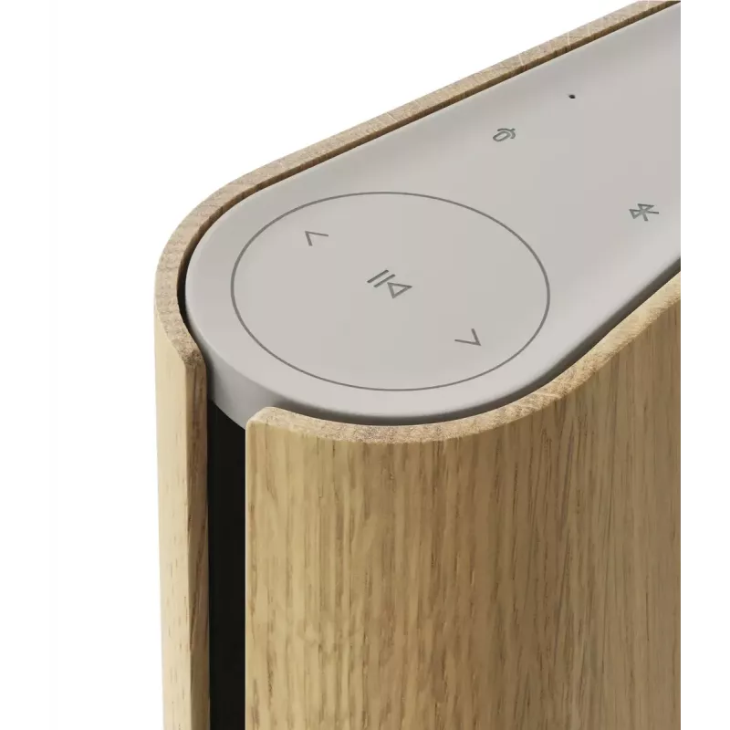 Draagbare luidspreker Bang & Olufsen Beosound Emerge bruin