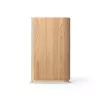 Draagbare luidspreker Bang & Olufsen Beosound Emerge bruin